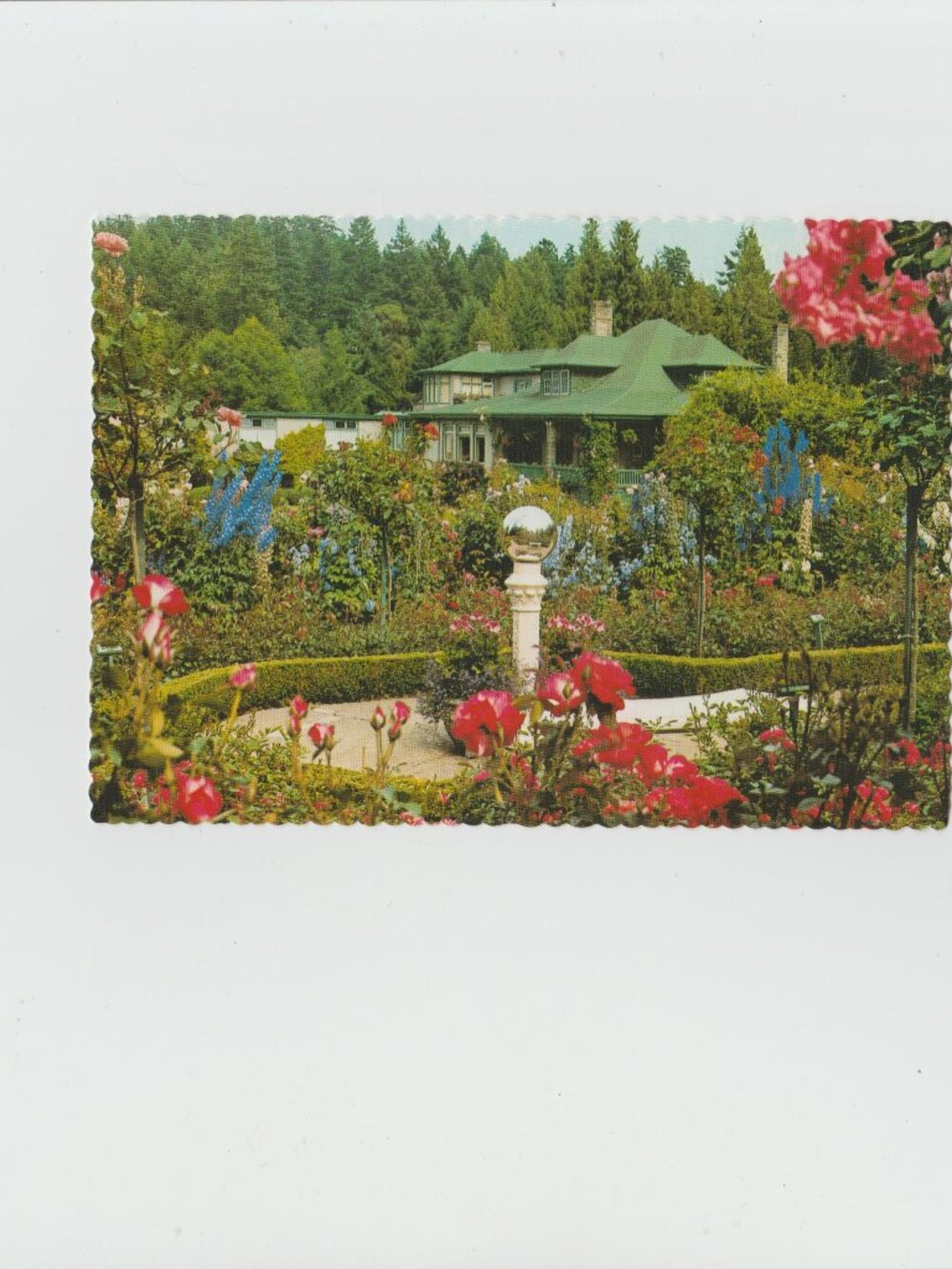 Vintage Unused Postcard Butchart Grdens, Victoria, B.C., Canada